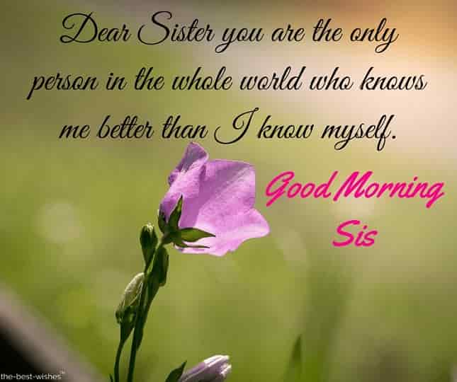 120+ Lovely Good Morning Wishes for Sister [ HD Images and Greetings ]