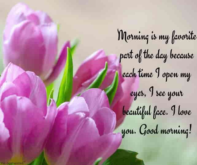 good morning beautiful text with flowers