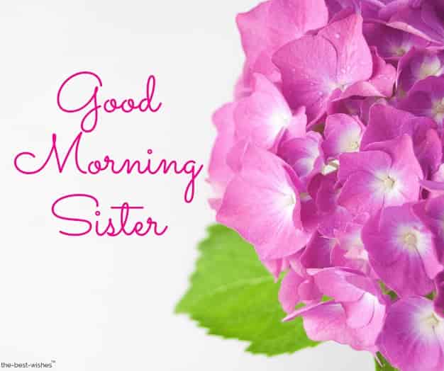 good morning big sister