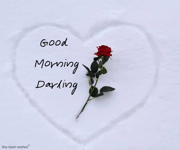 good morning darling image