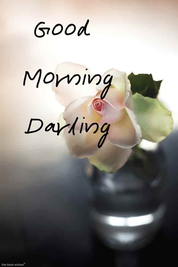 good morning darling pic