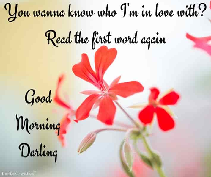 good morning darling sayings
