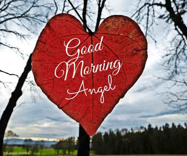 good morning angel darling images