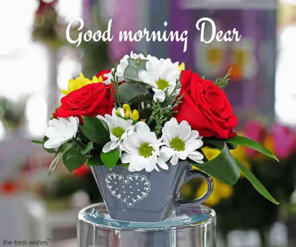 good morning dear get well soon