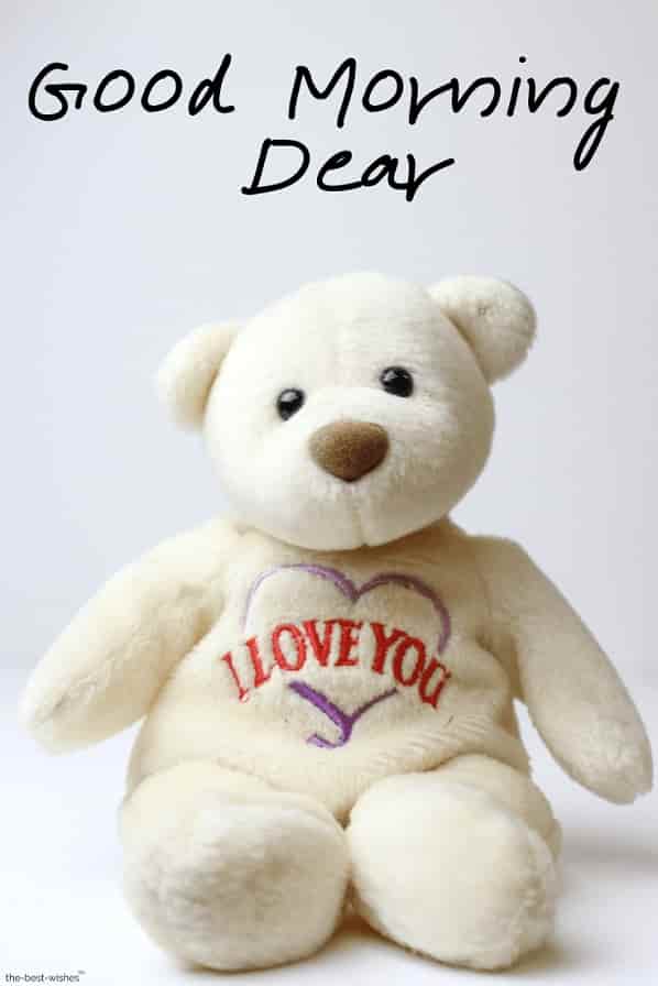 good morning dear with teddy bear