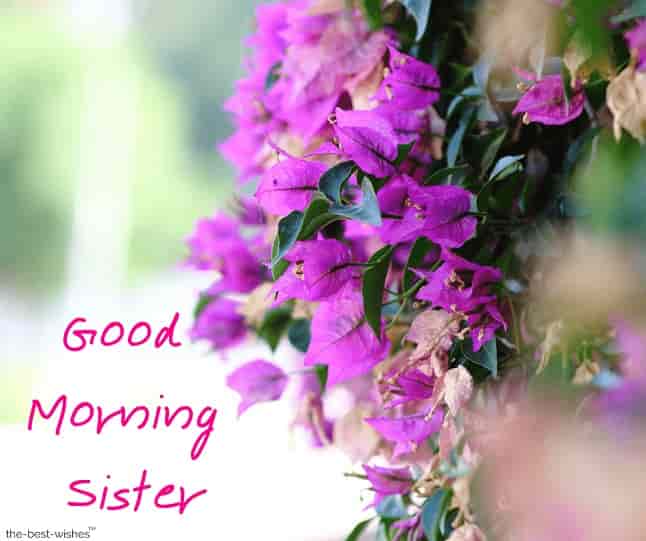 good morning elder sister