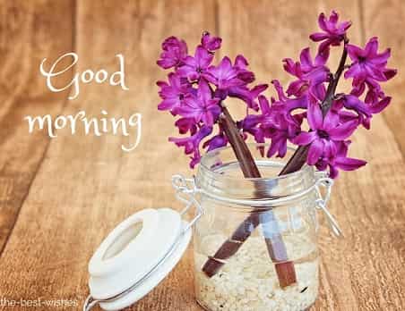 good morning flowers for lovers