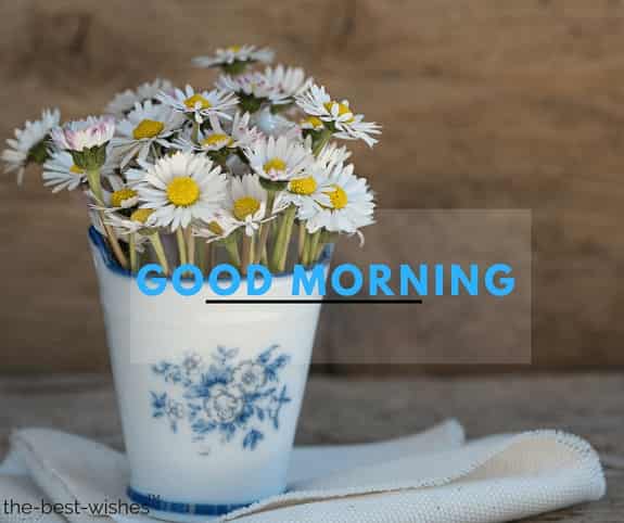 good morning flowers photo with vase