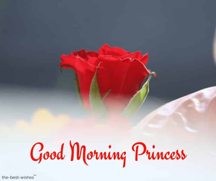 good morning for princess