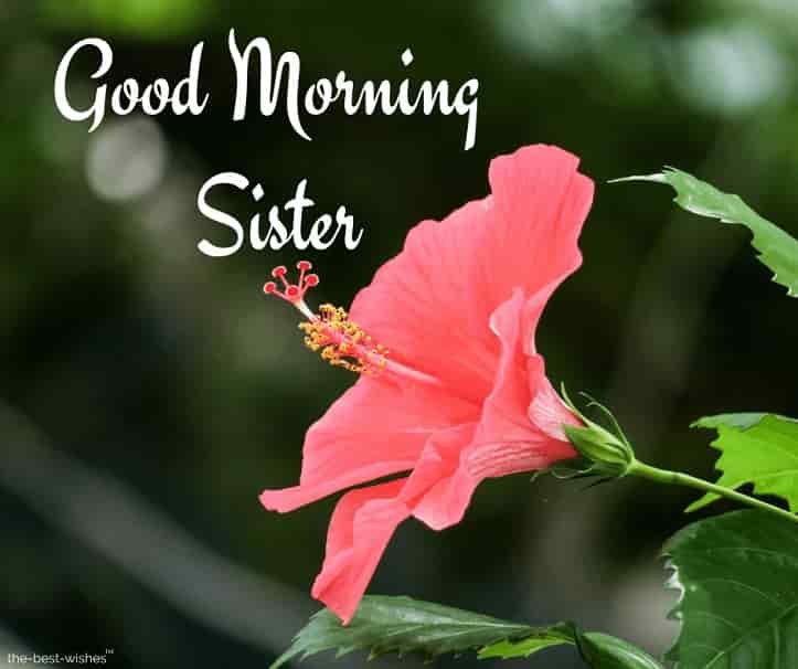 good morning for sister