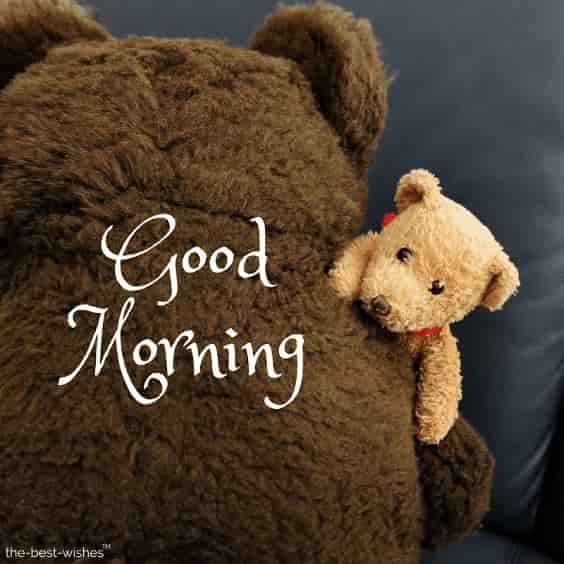 good morning friends with teddy bear photo