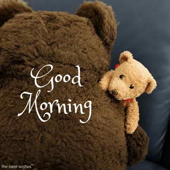 good-morning-friends-with-teddy-bear-photo