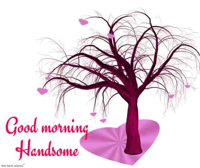 good morning handsome with a pink tree
