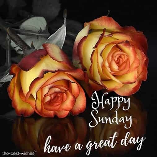 good morning friends have a wonderful sunday