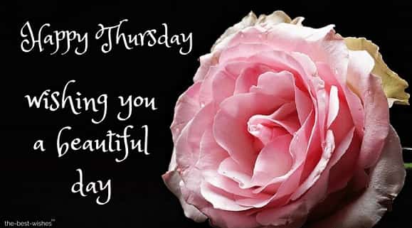 good morning happy thursday flowers images