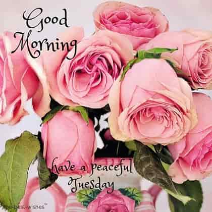 good morning happy tuesday with pink rose bouquet images