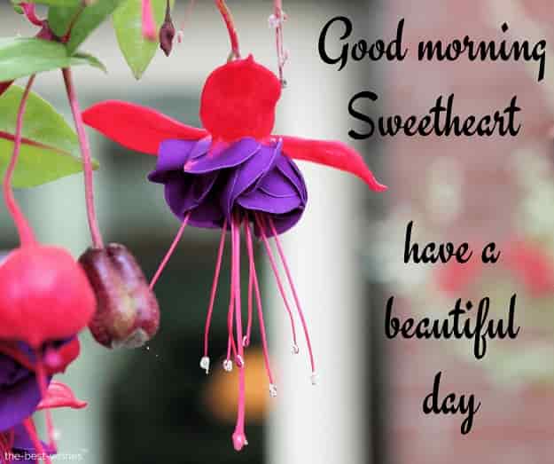 good morning have a beautiful day sweetheart