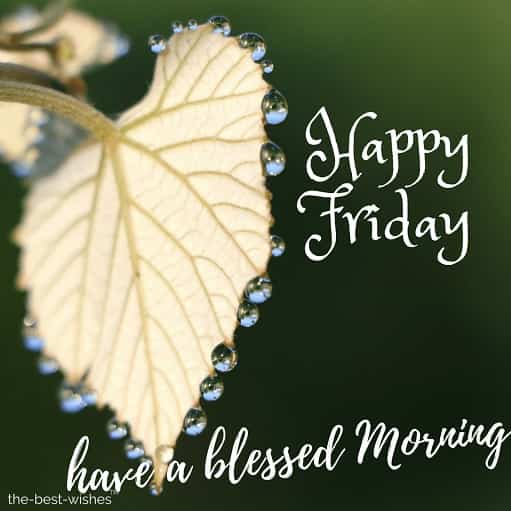 good morning have a blessed friday