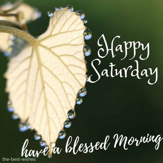 good morning have a blessed saturday