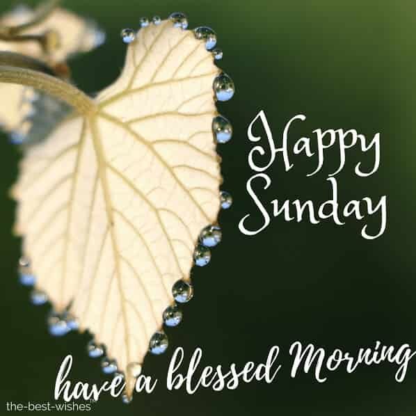 good-morning-have-a-blessed-sunday