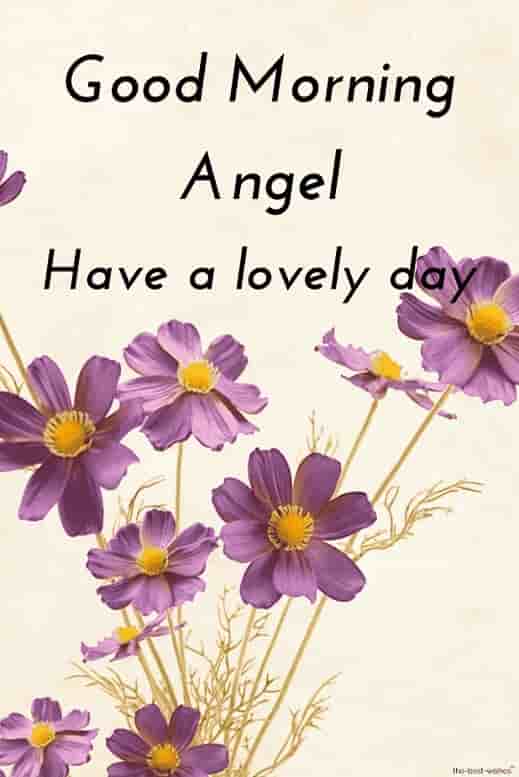 good morning hd image for angel