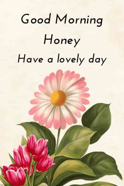 good morning hd image for honey