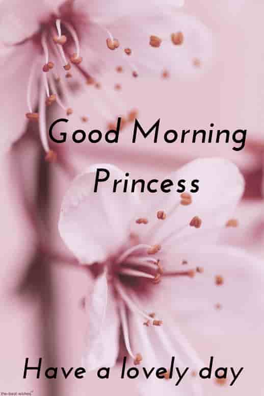 good morning hd image for princess