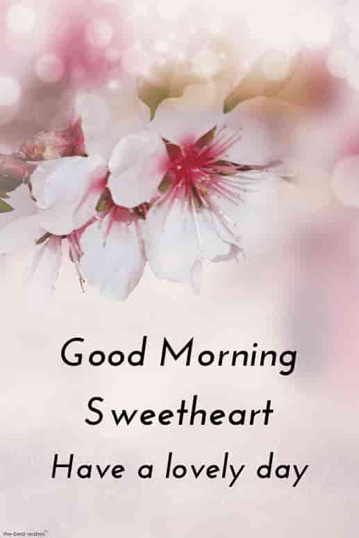 good morning hd image for sweetheart
