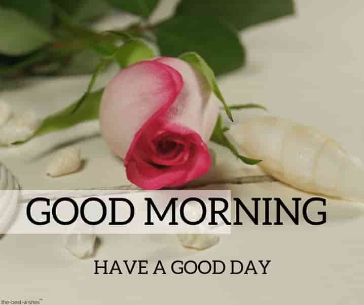 good-morning-hd-images