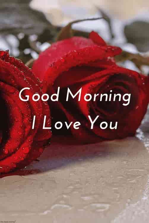 good morning hd romantic pics with red rose i love you