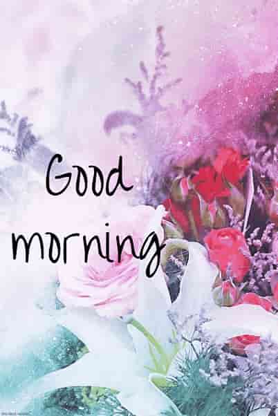 250+ Best Good Morning HD Images, Wishes, Pictures and Greetings