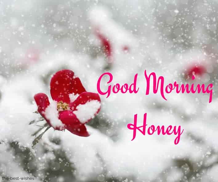 good morning honey hd images