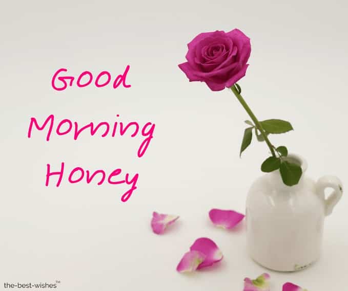 101 Good Morning Honey Wishes Messages Best HD Images 101 Good Morning Honey Wishes Messages Best HD Images