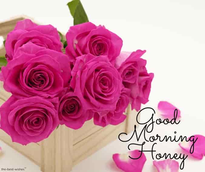 good morning honey with rose