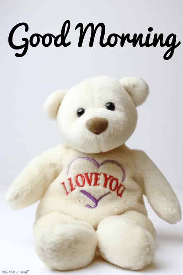 good morning i love you with a teddy bear