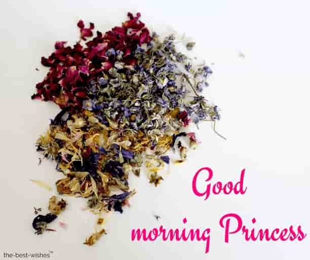 good morning images of princess