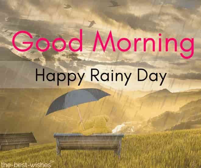 31 Perfect Good Morning Wishes For A Rainy Day [ Best Images ]