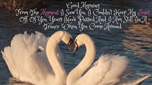 good morning love image with swan
