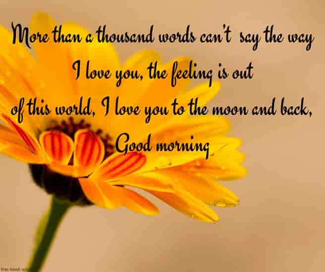 good morning love letter to gf with sunflower