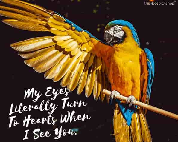 good morning love message with bird image