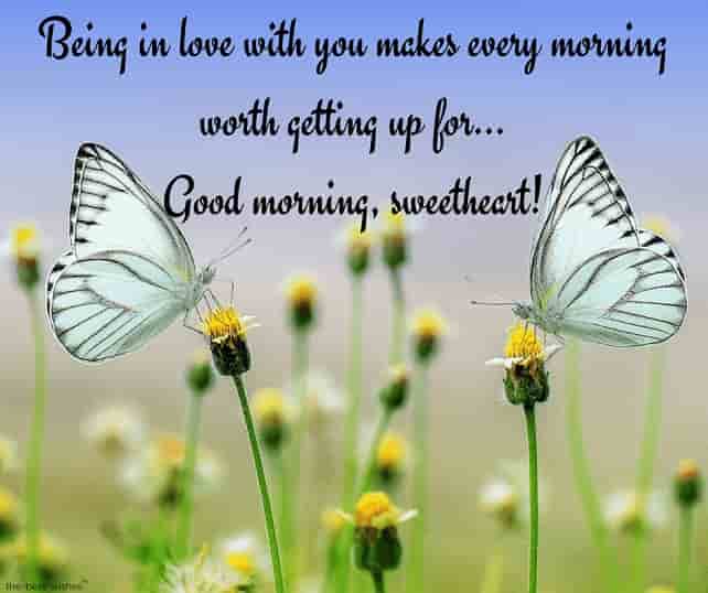 good morning love messages to my love with butterflies