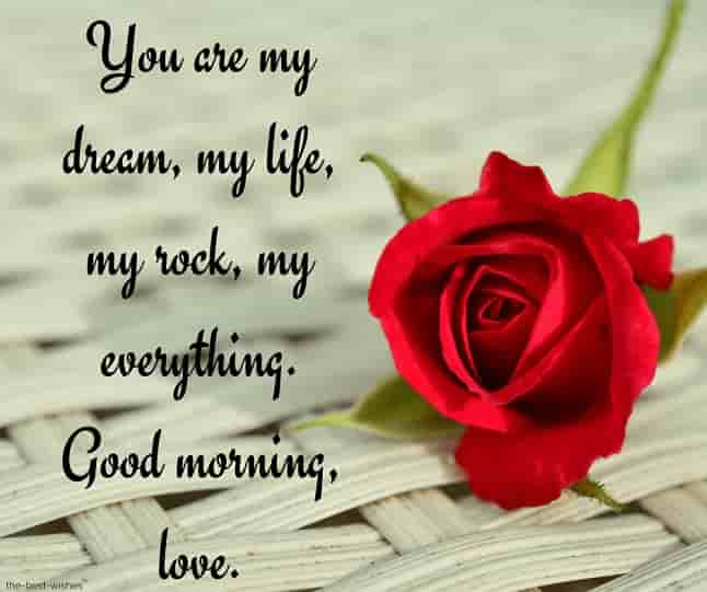 good morning love messages to my lovely wife with red rose