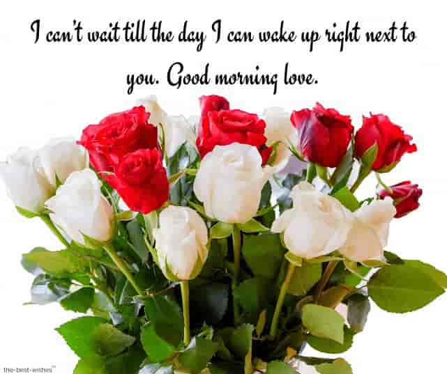 good morning love text messages to my boyfriend with roses bouquet