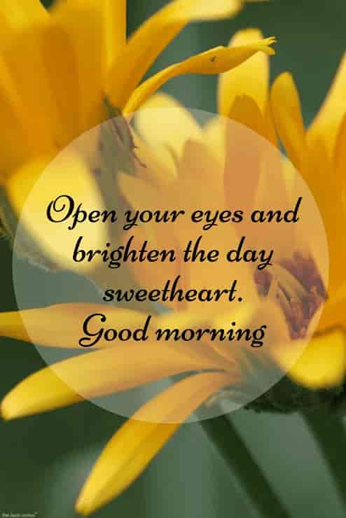 good morning message for her with hd yellow flowers