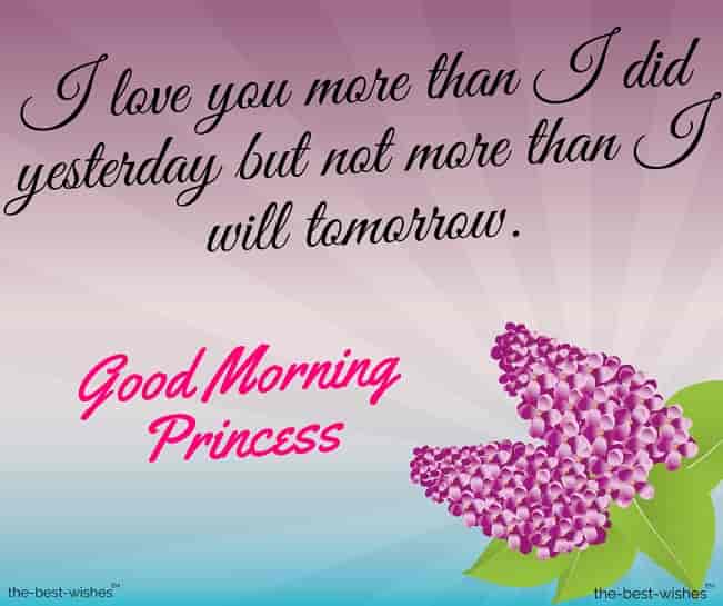 good morning message for princess