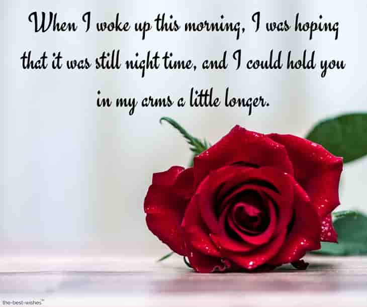 good morning message to my love with red rose