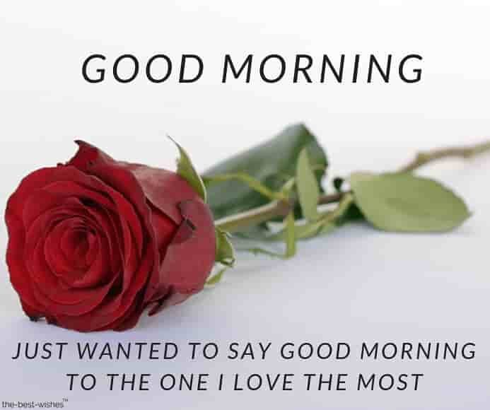 good-morning-message-with-red-rose