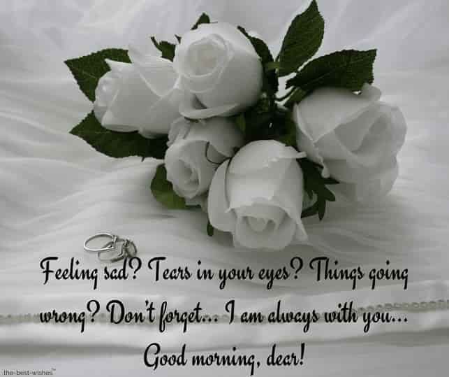 good morning messages to my dear love with white roses bouquet