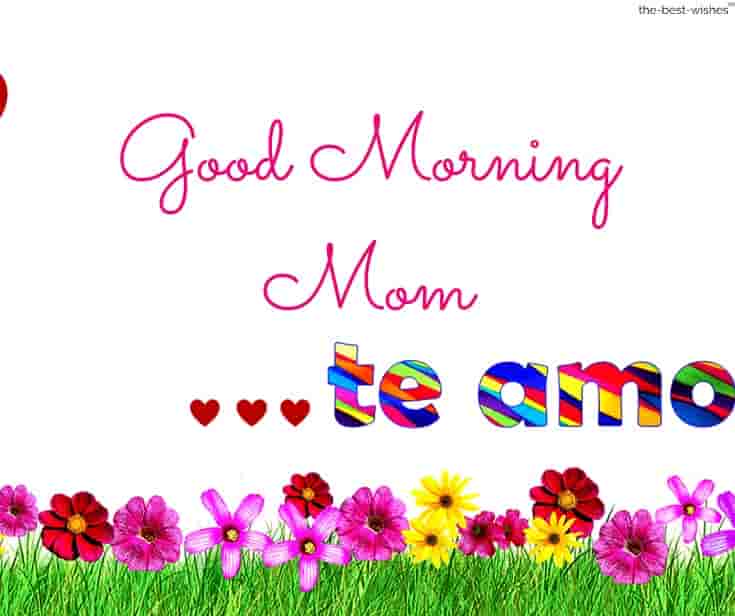 good morning mom te amo
