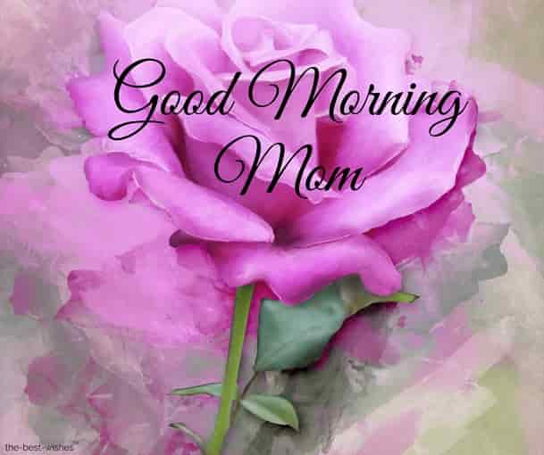good morning mom with pink rose